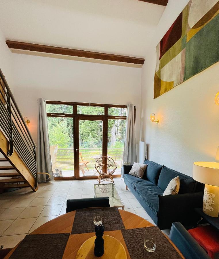 "Les Oiseaux" Avec Terrasse, Parking, Duplex Apartment Le Chambon-sur-Lignon Exterior photo