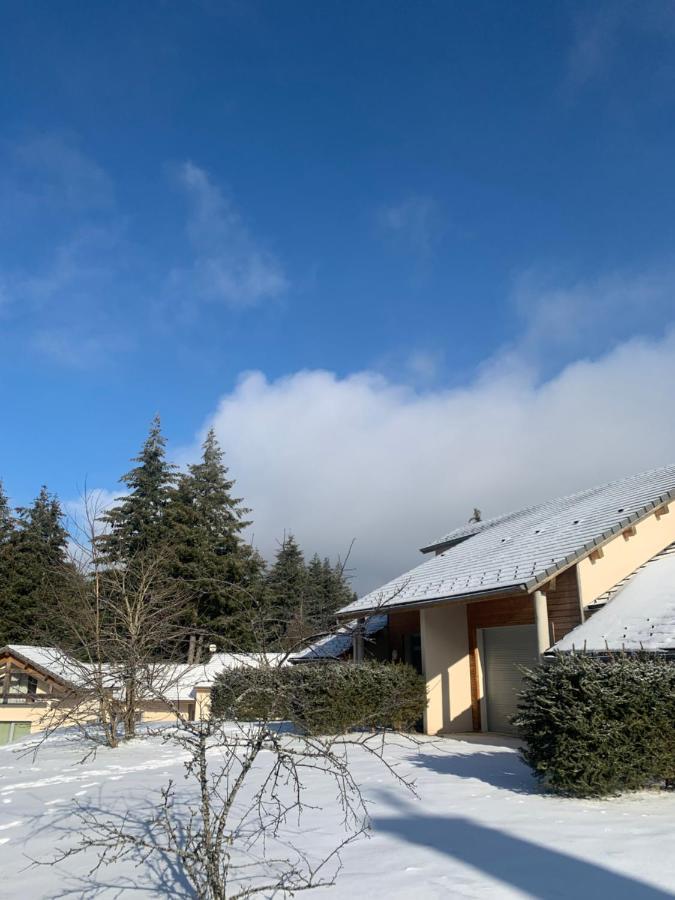"Les Oiseaux" Avec Terrasse, Parking, Duplex Apartment Le Chambon-sur-Lignon Exterior photo